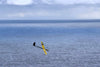 Typhoon plus  F3F X Tail - RCRCM.com - 11
