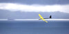 Typhoon plus  F3F X Tail - RCRCM.com - 17