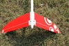 Strega F3F V Tail - RCRCM.com - 25