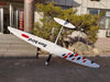 E-Sunbird Plus XTail